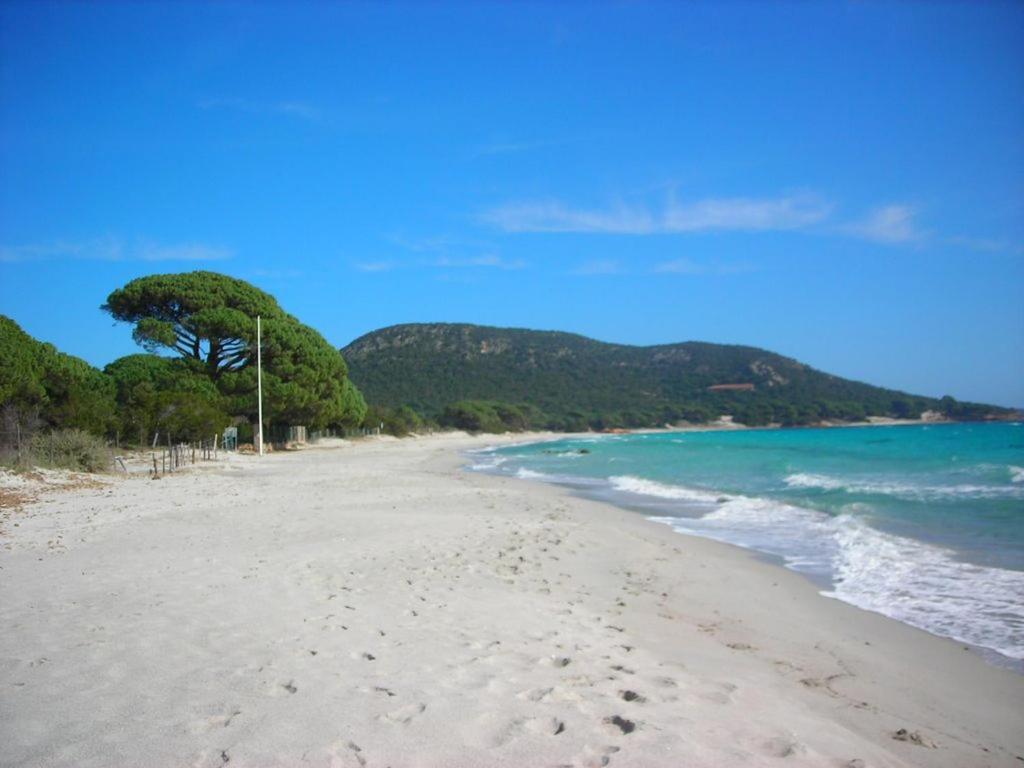 Villa Largia Porto Vecchio - A 5 Min Des Plages De Palombaggia - Calme- Climatisation Zewnętrze zdjęcie